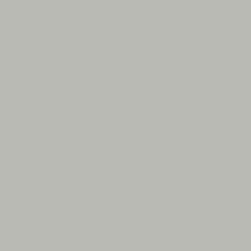 Spectra 8'' x 24''