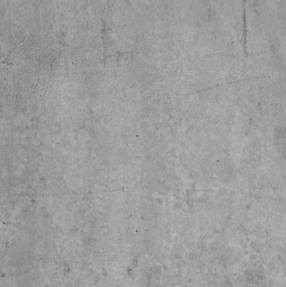 MURALUXE - BETON 205 - SWATCH
