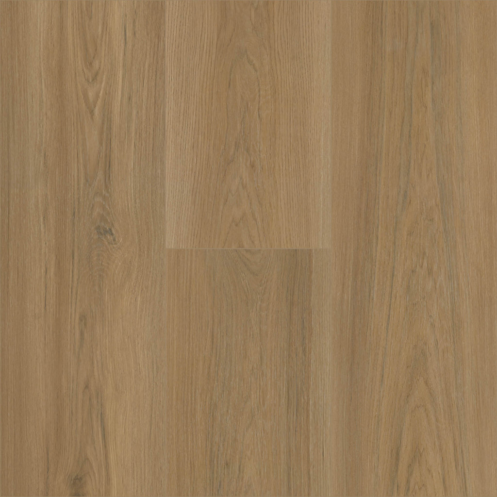 NORGANICA - SUNLIT PRAIRIE - SWATCH