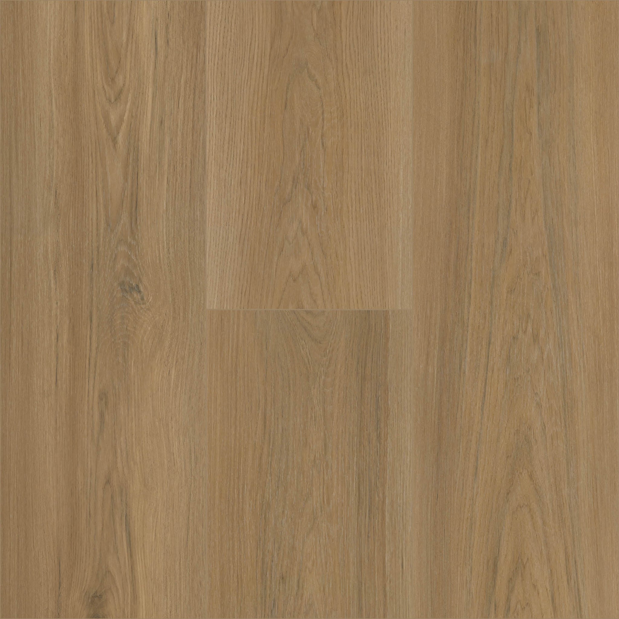 NORGANICA - SUNLIT PRAIRIE - SWATCH