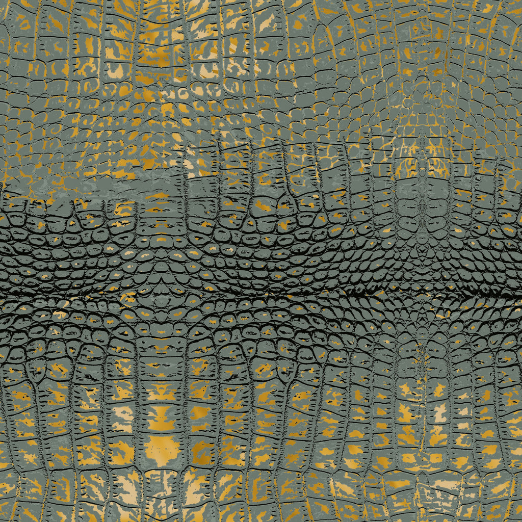 The room 24" x 48"