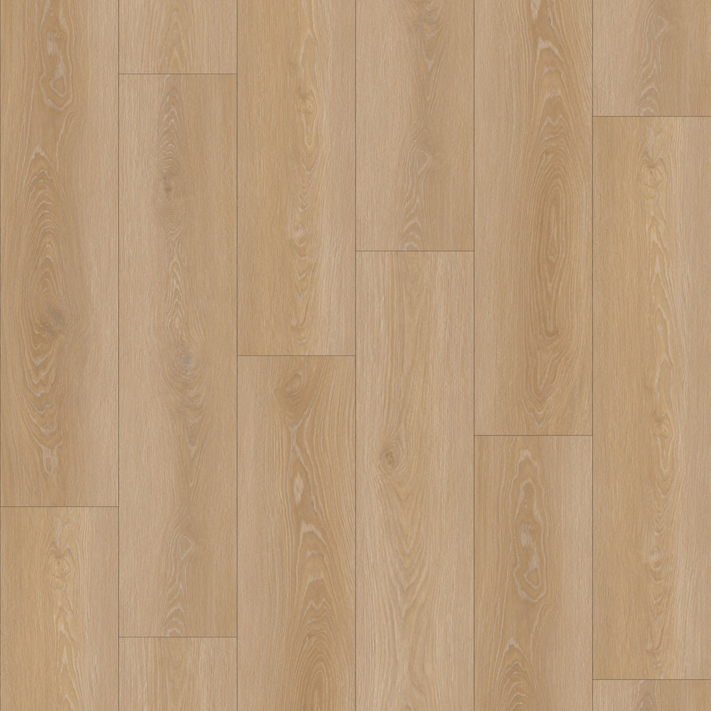 Sahara 6,50" x 48" 12mm -Clic