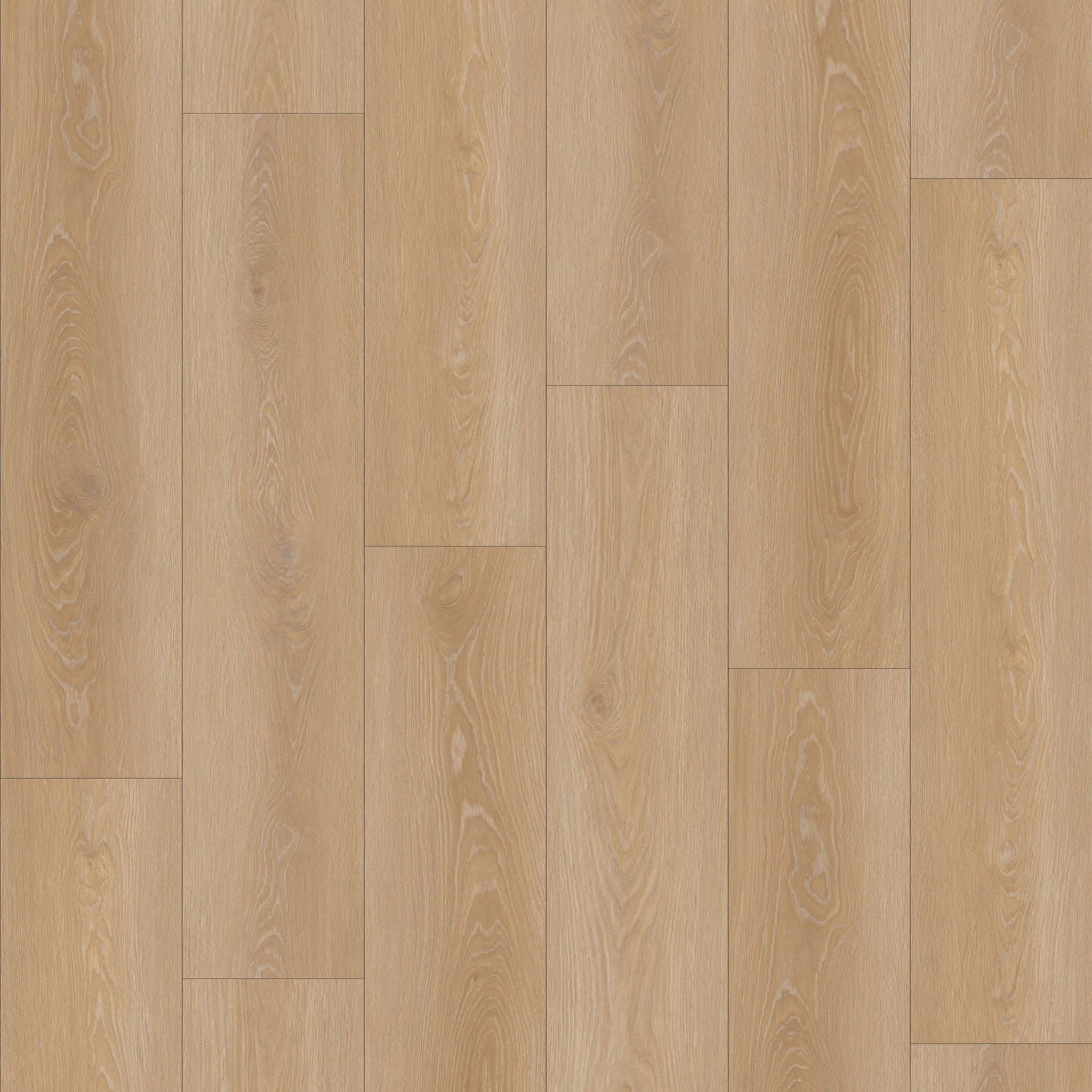 Sahara 6,50" x 48" 12mm -Clic
