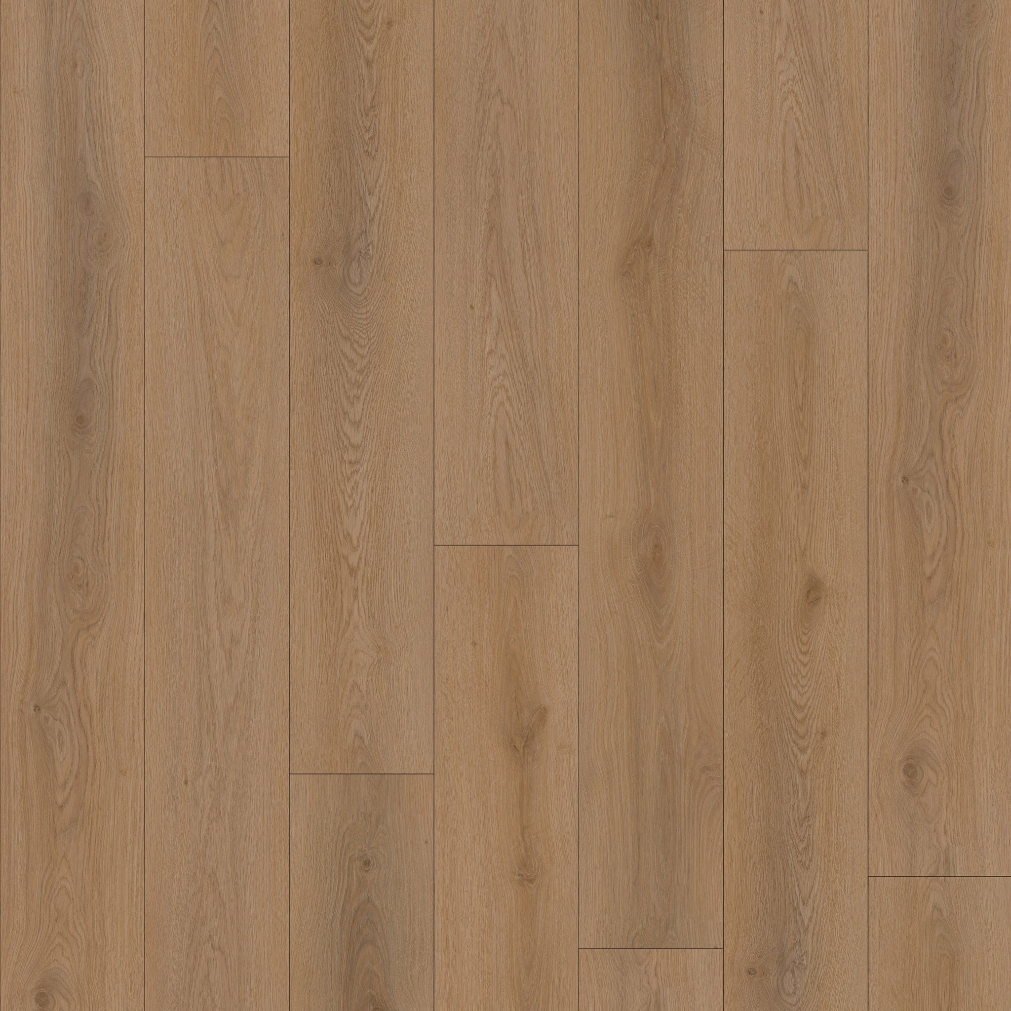 Quincy 7" x 48" 7mm - Clic