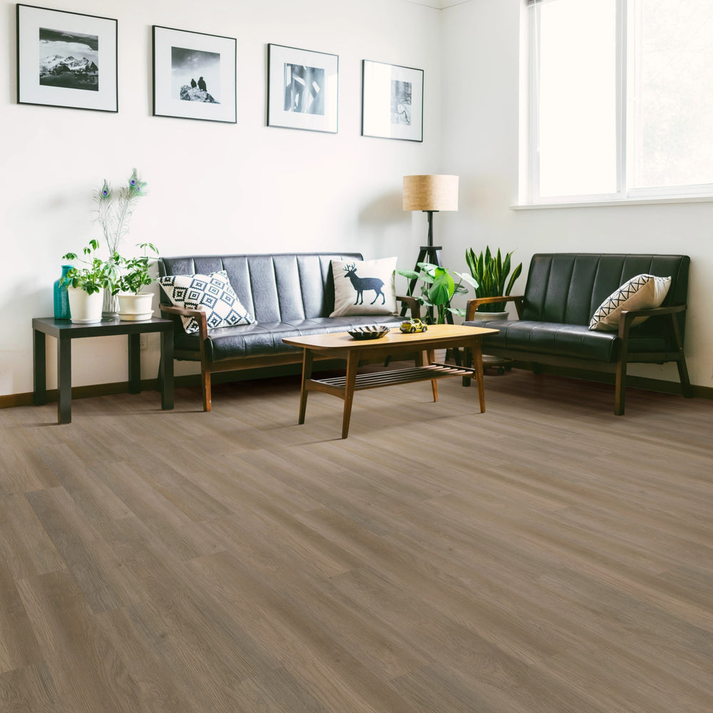 Pinto 6" x 48" - Auto-Plombant