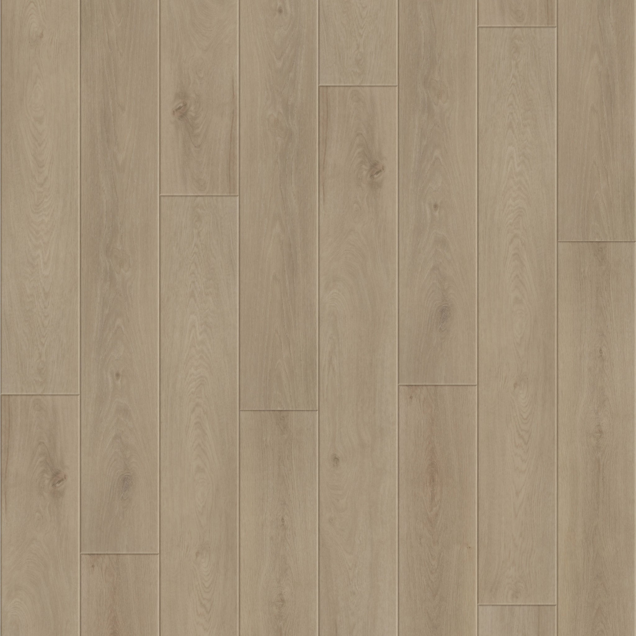 Hydrogen 7 9" x60" 7mm - Spc click i4f