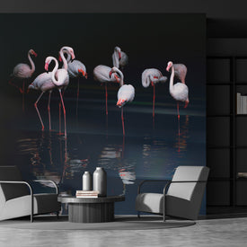 Noir-828 - Salon - Living room