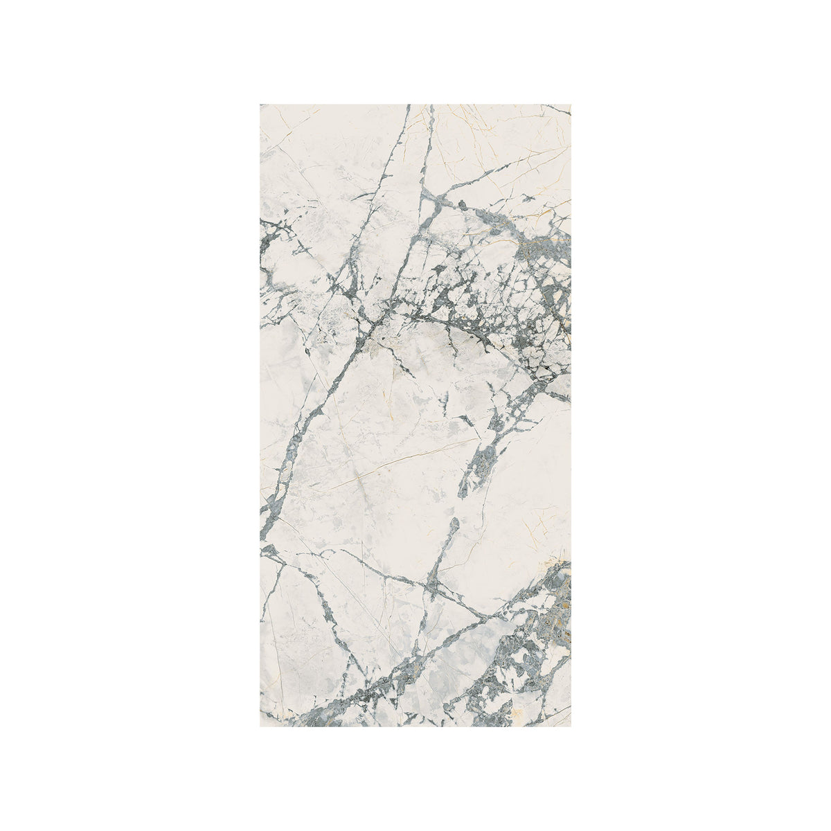 The room 24" x 48"