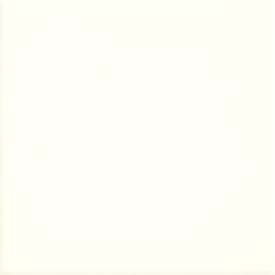 Couleur & Dimension - Biscuit / Cookie