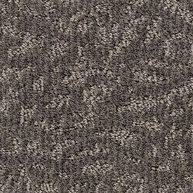 Bila - Gris Paresseux / Lazy Grey