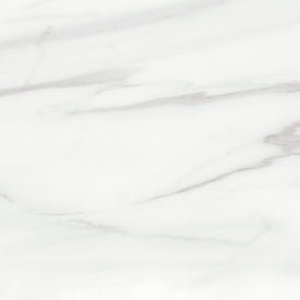 Vola Gris / Vola Grey