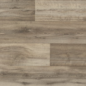 Bruges - Mission Brun/ Mission Brown